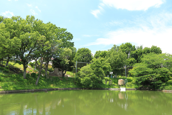 立野台公園 立野台公園