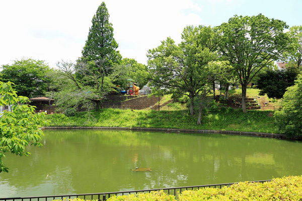 立野台公園 立野台公園