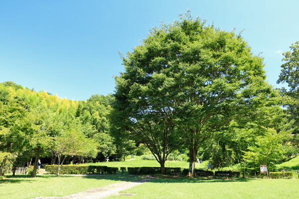 座間谷戸山公園 座間谷戸山公園