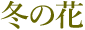冬の花 冬の花