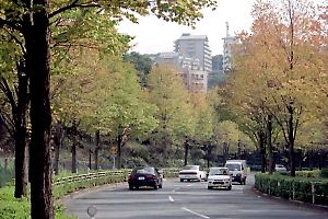 柏木歩道橋下からの景観