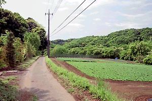 小野路の畑道