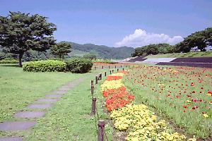 水郷田名−「花と芝生の広場」