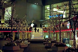 冬の夜の横浜