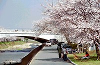 南浅川橋